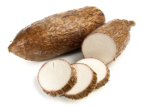 Tapioca Root Information and Facts