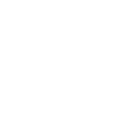 Increased Lifespan Icon